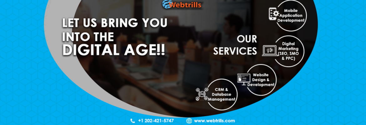 Webtrills – SEO Services Firm in USA